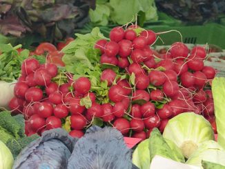 თვის, ბოლოკი, ბიოწარმოება