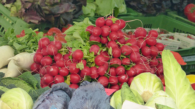 თვის, ბოლოკი, ბიოწარმოება