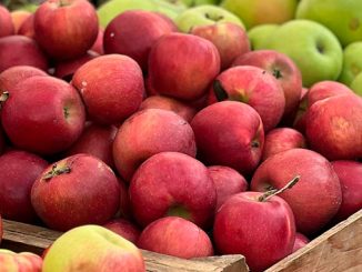 აზერბაიჯანი, ვაშლის, ექსპორტი