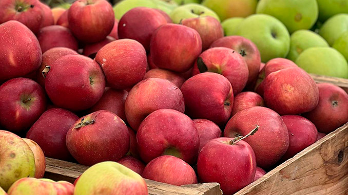 აზერბაიჯანი, ვაშლის, ექსპორტი