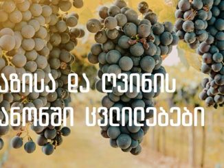 ვაზის, ღვინის, კანონი