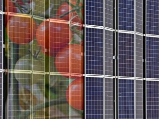 აგროვოლტაიკა