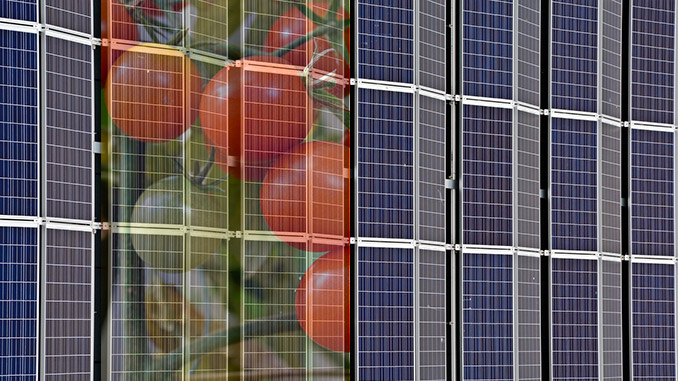 აგროვოლტაიკა