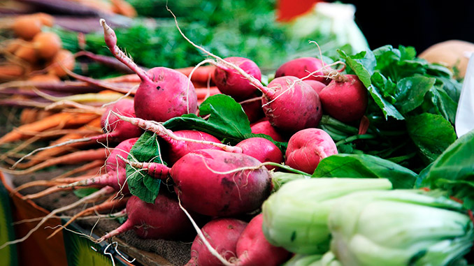 ბოლოკი, ბიოწარმოება, ბიოდაცვა