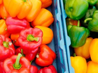 პოლონეთი, ბულგარული, წიწაკა