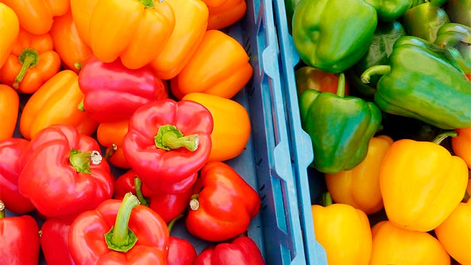 პოლონეთი, ბულგარული, წიწაკა