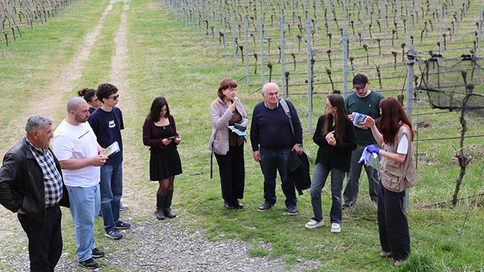 ჯიღაურა