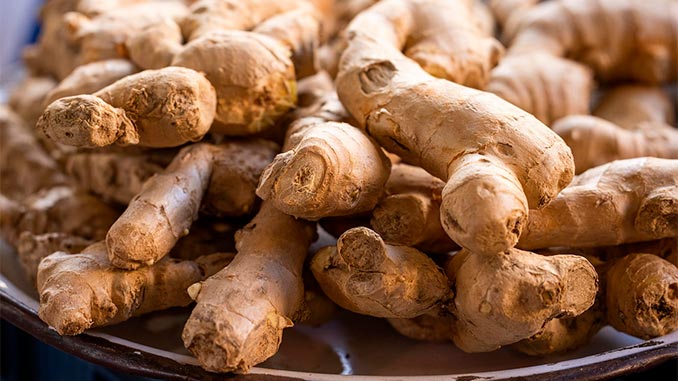 კოჭა, ჯანჯაფილი, პერუ