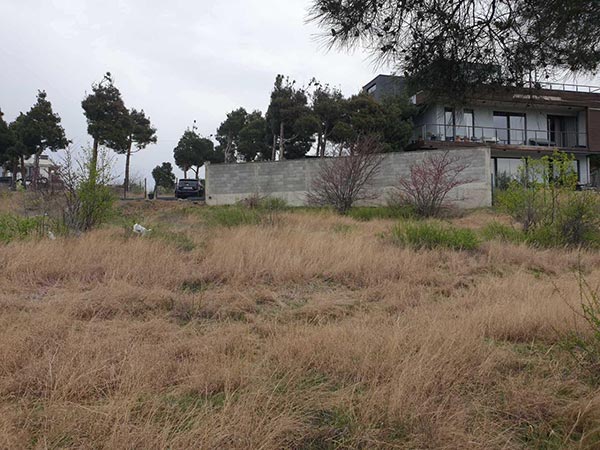 მახათა, ნაკვეთი