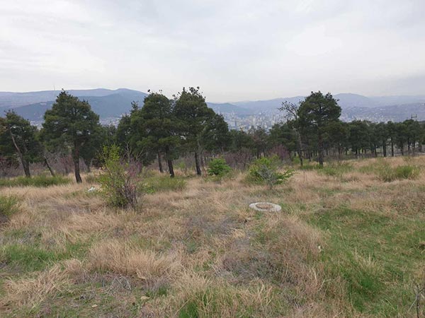 მახათა, ნაკვეთი