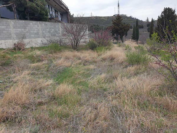 მახათა, ნაკვეთი