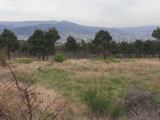 მახათა, ნაკვეთი