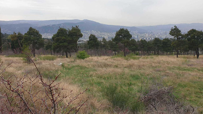 მახათა, ნაკვეთი