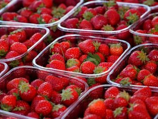 მარწყვის, გლობალური, ბაზარი