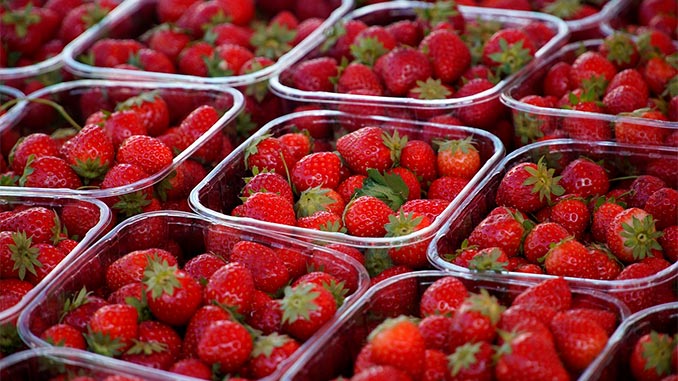 მარწყვის, გლობალური, ბაზარი