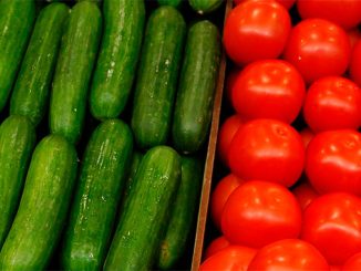 თანამედროვე, ორგანული, სათბურები