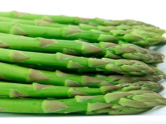 სატაცური, იმპორტი, ნიდერლანდები