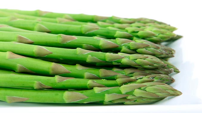 სატაცური, იმპორტი, ნიდერლანდები