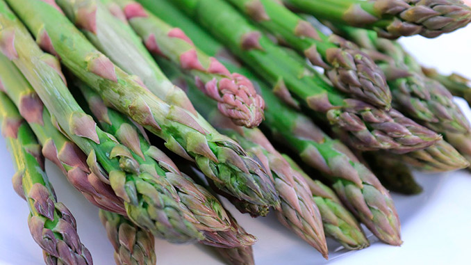 სატაცური