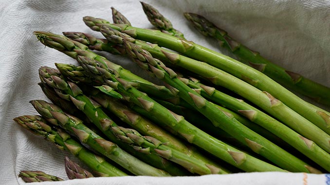 სატაცური, მოსავლის, რობოტი