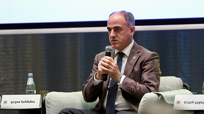 დავით, ნარმანია, სემეკი