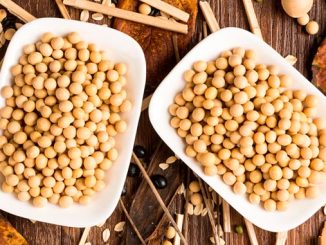 სოია, ბაზრის, მოცულობა