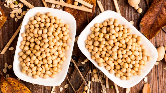 სოია, ბაზრის, მოცულობა