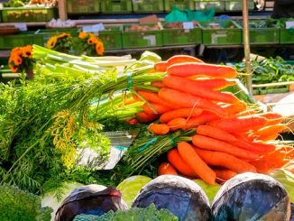 სტაფილო, მსოფლიო, ბაზარი