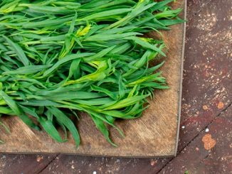 ტარხუნა, ორგანული, წარმოება