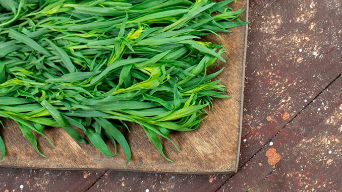 ტარხუნა, ორგანული, წარმოება