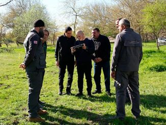 ტყის, აღდგენის, პროექტი