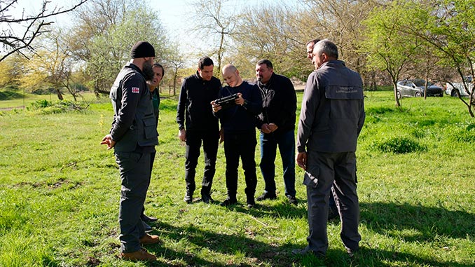 ტყის, აღდგენის, პროექტი