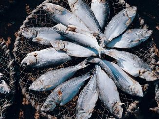 აკვაკულტურა, უკრაინა