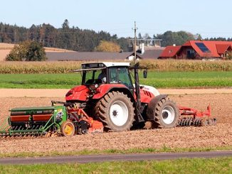 მარცვლეული, უკრაინა