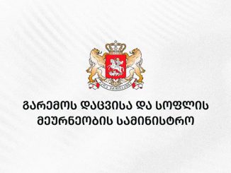 გასტრონომიის, ეროვნული, სააგენტო