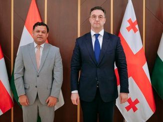 ინდოეთი, საქართველო