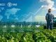 OECD, FAO