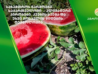 საზამთროს, ტექნოლოგია, აგროსფერო