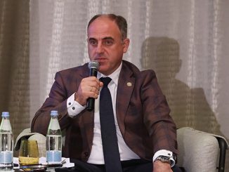 სემეკი, დისკუსია, ნარმანია