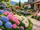 ჰორტენზია, Hydrangea