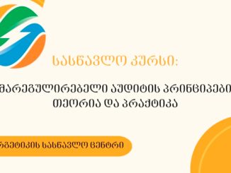 მარეგულირებელი, აუდიტის, პრინციპები