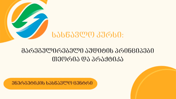 მარეგულირებელი, აუდიტის, პრინციპები